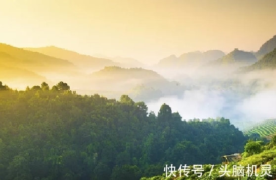 诗人！王勃畅游古寺，题写了一首禅诗，落笔流畅，不愧为初唐才子