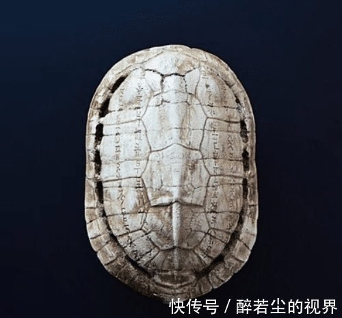 李成@清朝鼎鼎有名的金疮药,一敷就止血,为啥失传了?你看原料是啥?