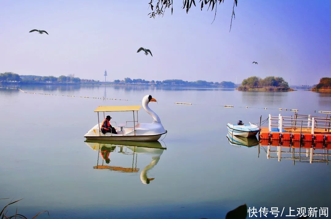 大明湖|一波美图，带你“云”赏青浦的湿地美景