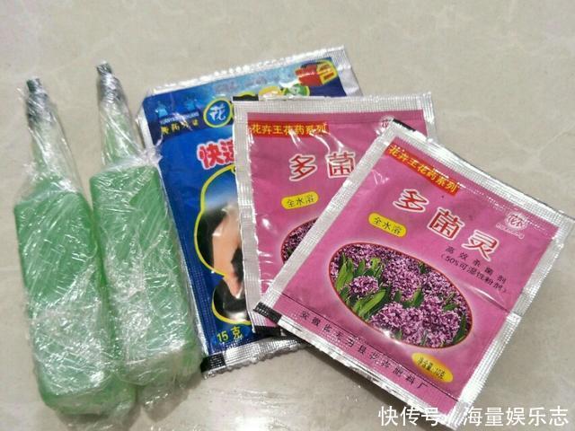 养花也该适时断舍离,如果您家阳台上也有这些,不妨清理一下