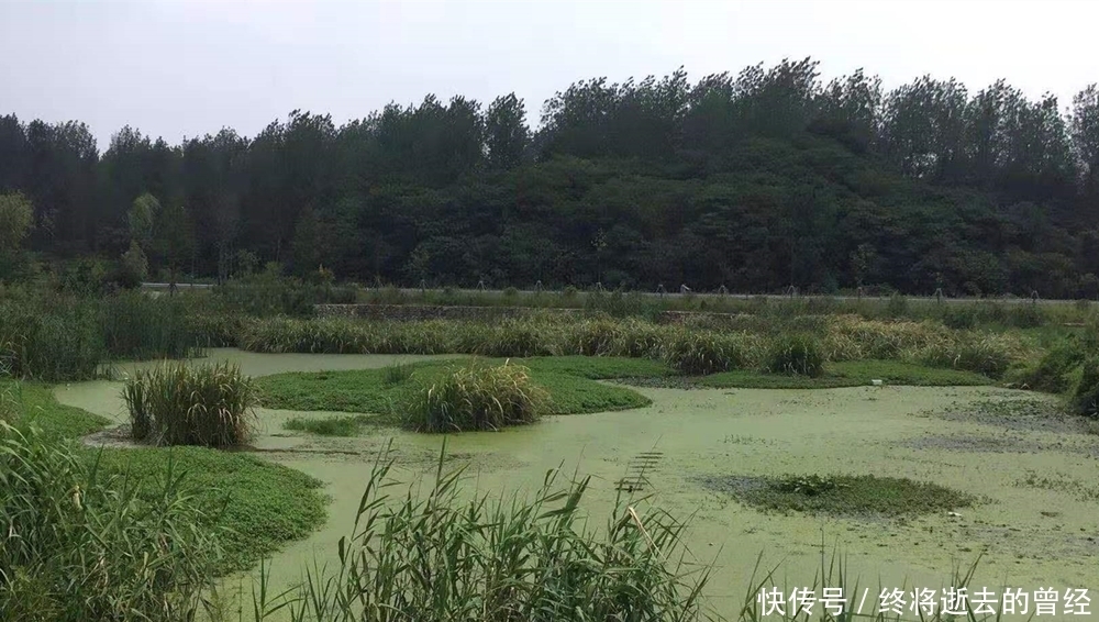 春季钓黑鱼，民间这种钓法就很好，别看钓法很土，但是效果一流！