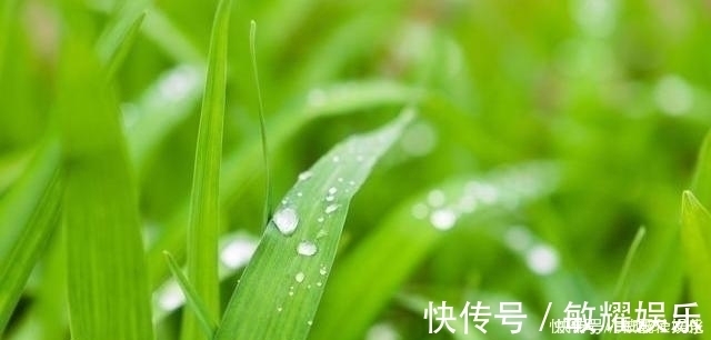 水谷精微|脾虚百病生脾有“三怕”,多吃“一果”,健脾祛湿一步到位