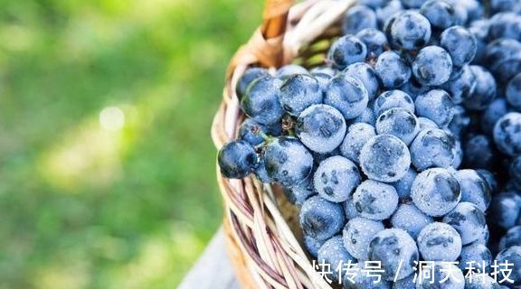 孕妇|孕妇吃这些水果对胎儿好,宝宝会告诉你他的喜好,你都吃了几种?