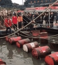 |搞笑GIF:姑娘,这身旗袍穿在你身上,我还以为仙女下凡了