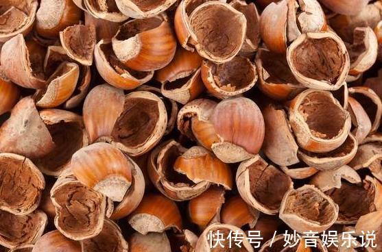 养花不用买肥料,4种''生活垃圾''一处理,盆栽开花又大又漂亮