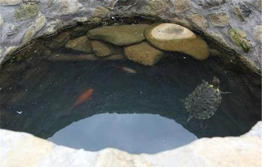 古代人打完井后,为什么要扔俩乌龟下去?看完佩服古人的智慧