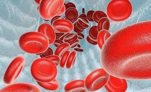 血脂|不论男女，睡前1个好习惯，人长寿，血液净如水，血管透亮不堵