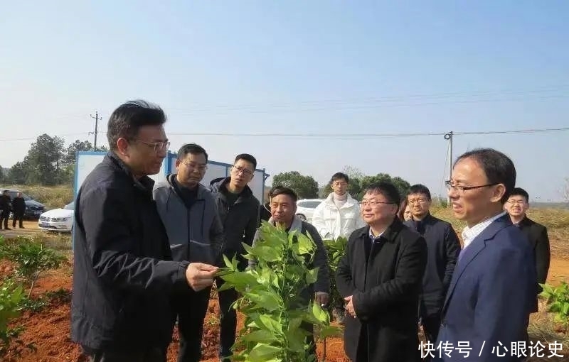 历史文化|谭伯乐调研文化古迹暨开展“1号大调研”工作