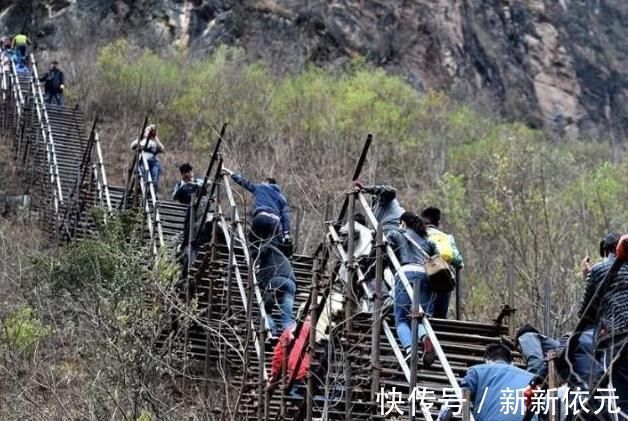 委屈|沙雕动画,搞笑:为了儿子的爱情,当爹的就委屈一下吧!