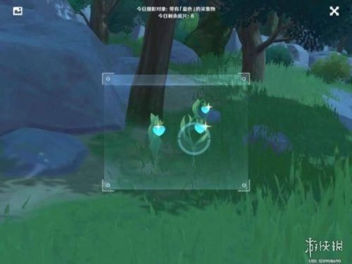 蒲公英 原神蓝色照片在哪里拍？蓝色照片采集物生物分布位置一览