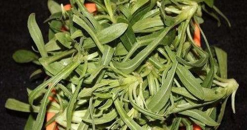 食物|女性不想早衰老,多吃3种食物,补充营养,调理肠胃,增强体质