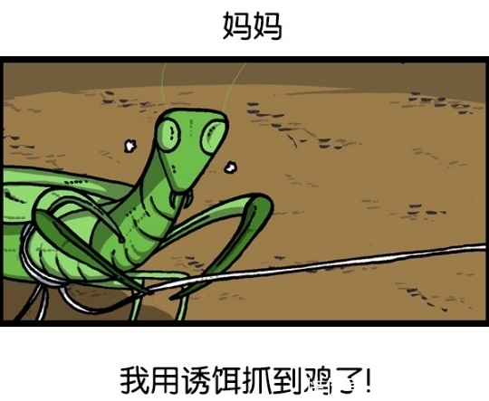 石头|搞笑漫画：螳螂抓鸡，用人做诱饵