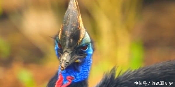 唐朝|唐朝李渔,《笠翁对韵》、《肉蒲团》是他写的,芥子园是他建的