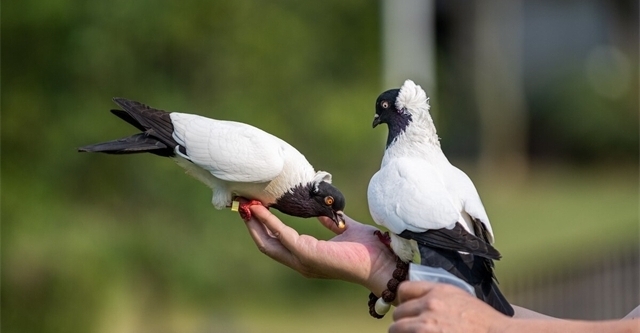 有趣的22个冷知识:刚要睡着时,感觉身体从高处坠落是怎么回事