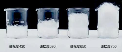 加拿大鹅又卖断货 都2021年了你怎么还在跟风