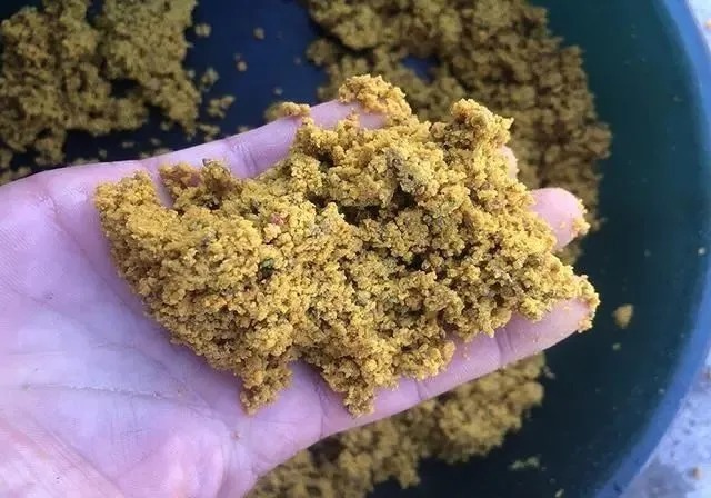 饵料搭配,看似无所谓,实则对渔获影响非常明显,一定要记牢!