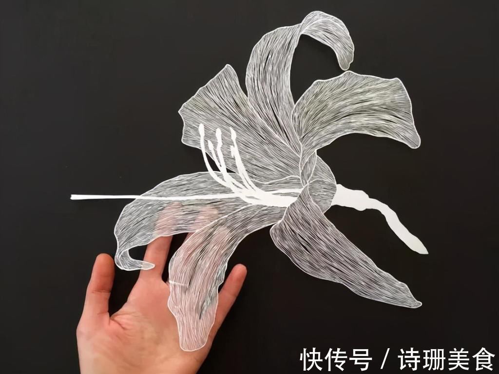 花儿$她就靠一张白纸,弄得如此漂亮,火遍了全世界