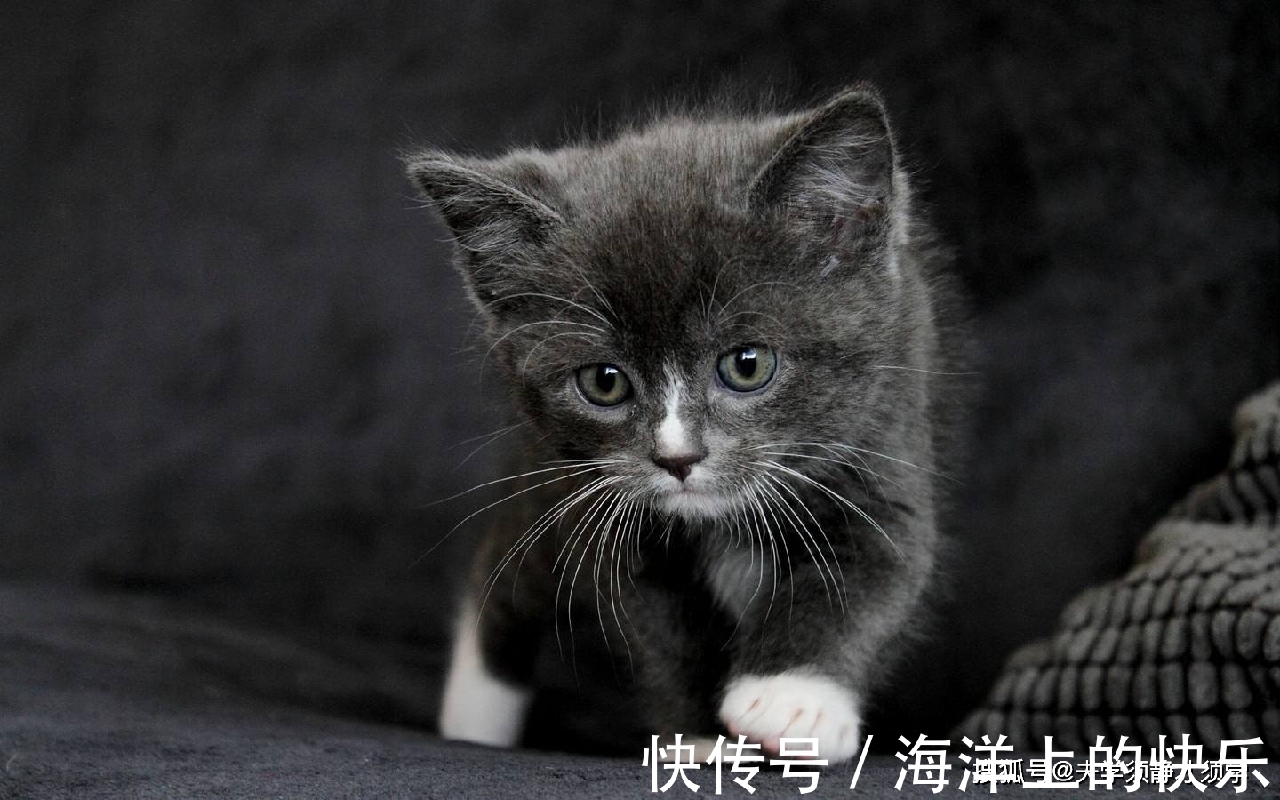 |幽默笑话:老公给我写了第一封情书,再拿出来看看,却觉得好笑!