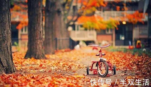 儒家思想!“修身齐家治国平天下”的出处在哪里?字数不多,每一句都是玉言