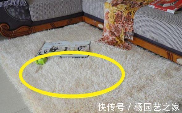 地漏|新房入住2个月!含泪发现14个致命错误,全是粗心造的孽!烧光钱