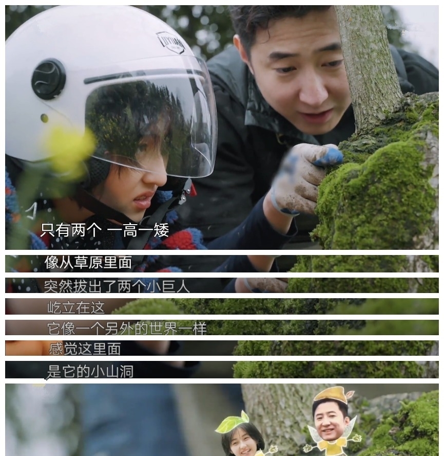 向往 先后被刘晓邑、杨紫圈粉,这季《向往》请的嘉宾太可了