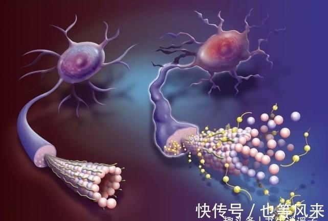 35个冷知识:教科书上不会出现,但却真实存在于世界各地