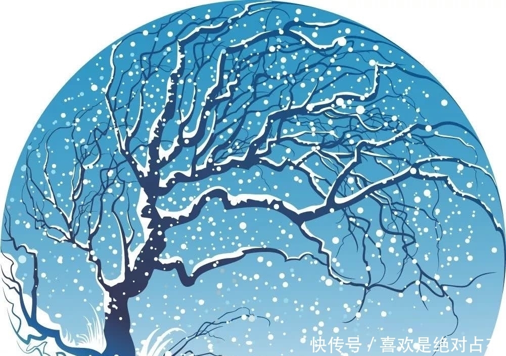 中年|冬天很美,但你要小心它是一场美丽的欺骗