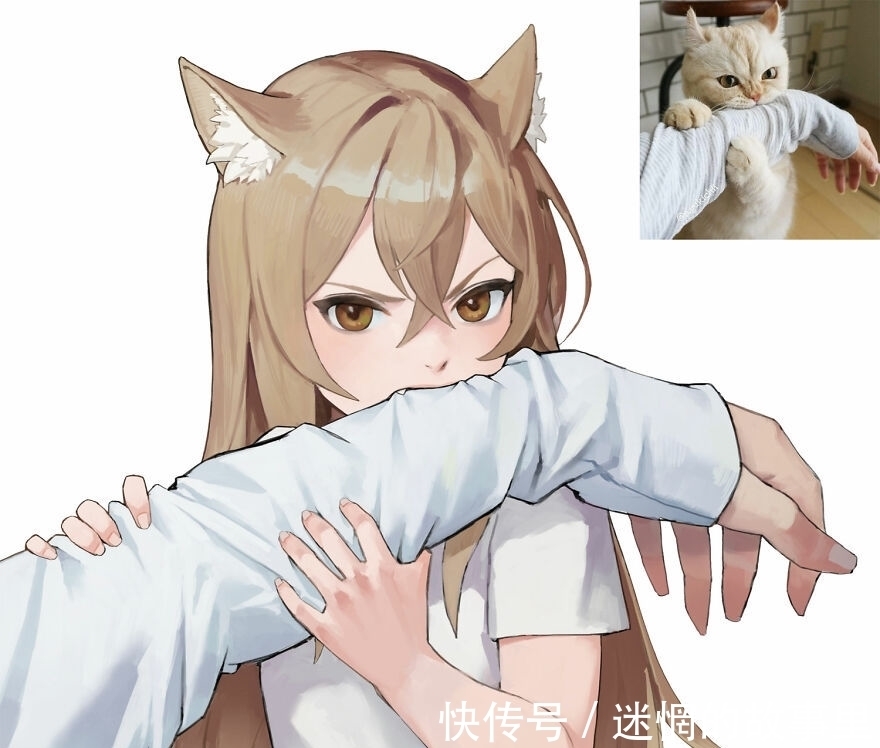 美少女|画师绘制拟人化“猫娘”，猫咪和美少女最配，赶紧给我变