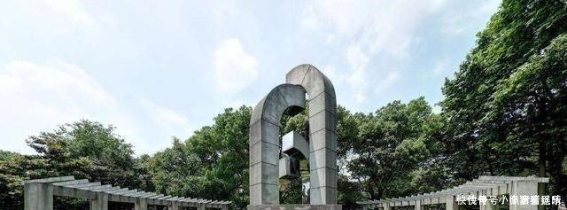 这位211大学院长降阶为普通教授，为了学术理想吗？别有内情！