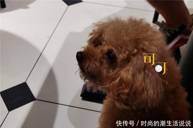 生日|老公生日,两个人吃一顿浪漫的西餐,花了212元贵不贵