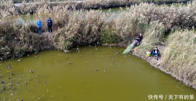 冬季钓鱼经验分享,出钓选择这3个时段,轻松告别不见鱼还冻成狗