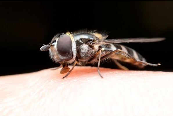 不管家里有没有钱，在墙角放一枚五角硬币，用处真厉害