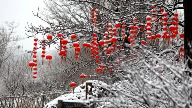 春雪漫卷，蓬莱阁的美藏不住了！