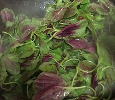 菠菜|比菠菜营养还要高,2块钱就能炒一大盘,初夏吃它最养生!