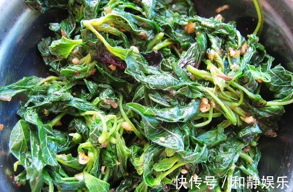 苋菜|天热，这3种野菜要多吃，比买的营养高，清肠消暑还补钙！