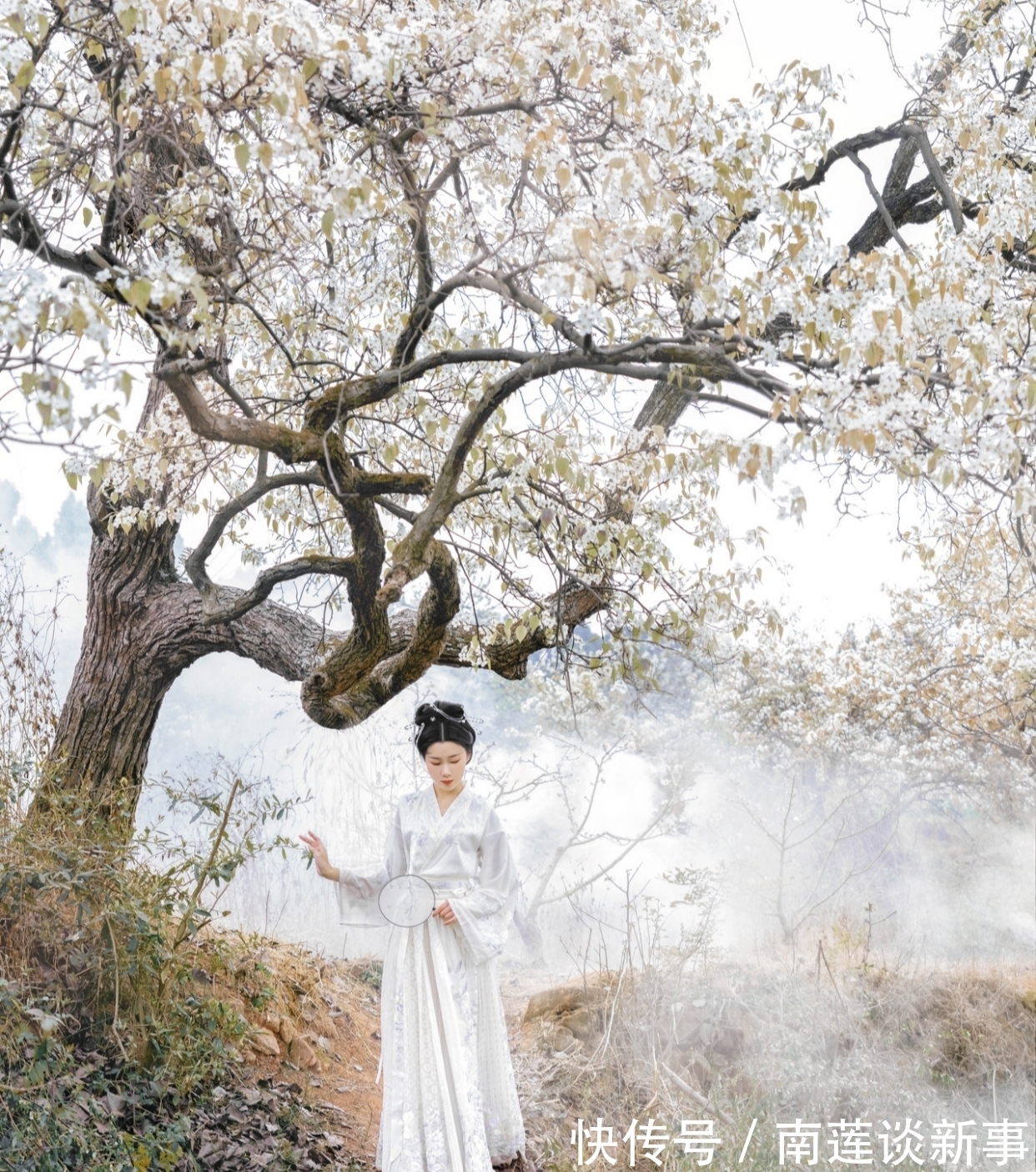 虬枝#七律:谁道衰龄无妙色,东风一夜又迷春