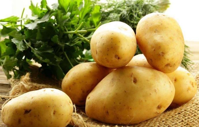 胃病|有胃病不用怕！此兩種食物是天然“胃藥”，胃舒服了，吃嘛嘛香