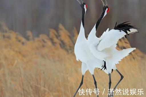 中老年人|过了60,自私的父母最伟大!此文很有意义,希望中老年人认真读读