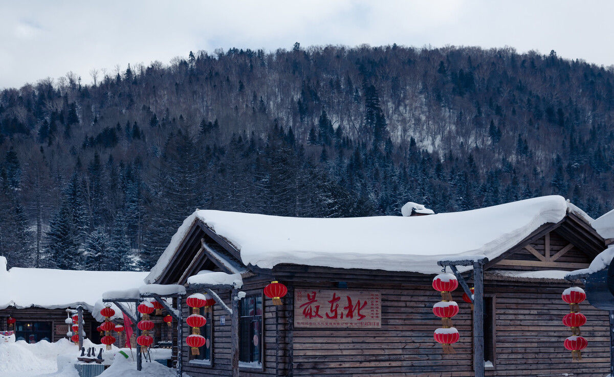  东北|东北老菜，经典家常菜“八大炖”，都是东北味，你吃过几道？