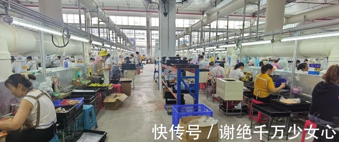 四川阆中多圆|“阆中造” 玩具远销国外,哆啦A梦、海贼王等周边把心都萌化了