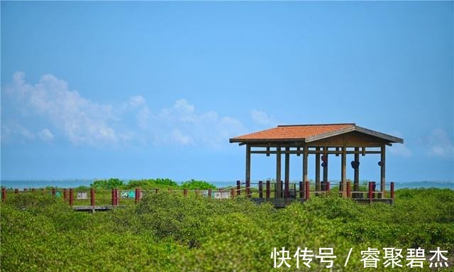 渔民|北海宝藏景区，风景如画，去过的人都说美