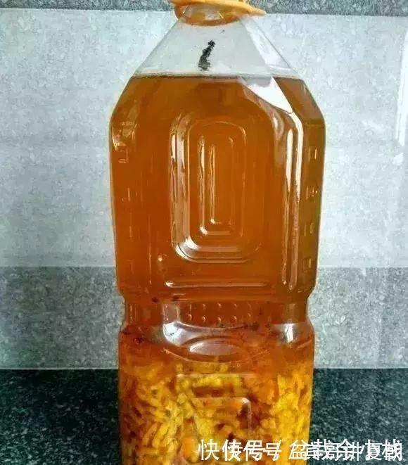 营养|盆里灌点饮料，盆土疏松有营养，10年不用换土花也长得旺