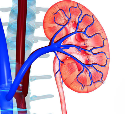 化验单|关于肾功能，体检化验单上的这些参考值，你读懂了吗？