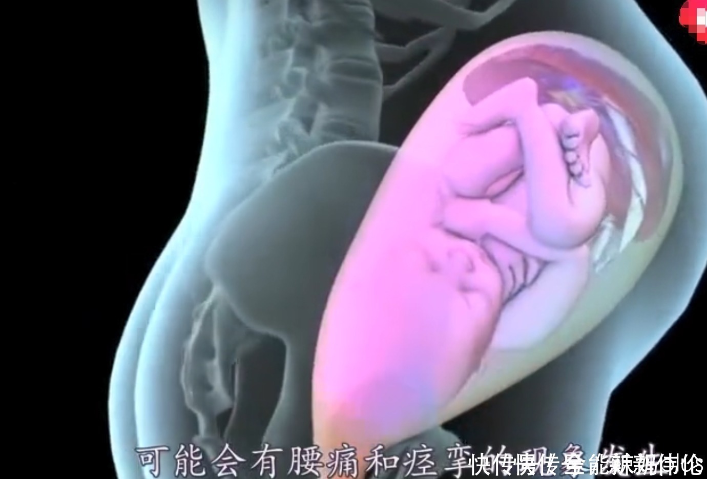 见红|顺产宝妈要经历多少“崩溃”时刻？4张图带你还原生命奇迹