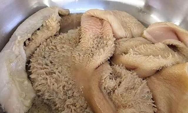 健脾|冬天,宁可不吃猪肉也要吃它,健脾暖胃还补钙,比猪肉香多了