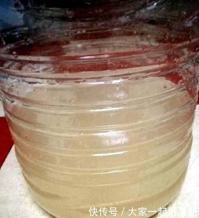 发酵|盆土铁如锤浇这“2种水”，一浇就疏松，5年不用施肥换盆了