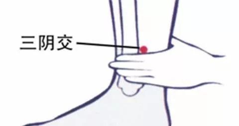  体质|有一个穴位，改变你的易胖体质！