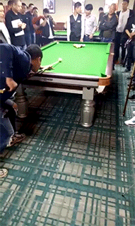 |搞笑GIF趣图:小子,你给我过来,你肯定是故意的!