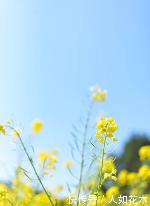 万物|立春丨听一曲古琴演奏《春风》万物知春,和风淡荡