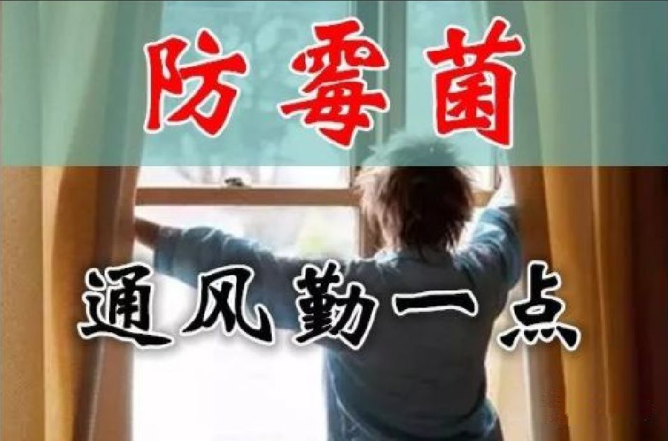 养生|今日出伏,吃3瓜、3肉、4点,别做6件事!